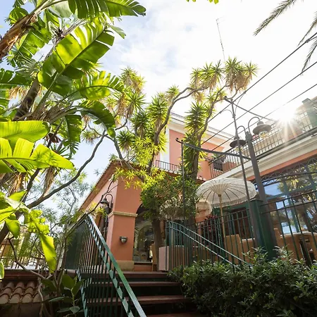 Mr Les Rotes デニア